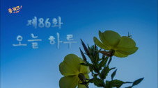 Épisode 86