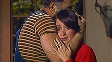 Épisode 11