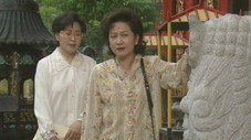 Épisode 256