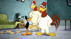 The Foghorn Leghorn Story