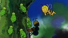 Maya sauve les termites