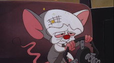 To Russia With Lab Mice