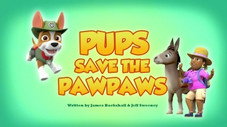 Pups Save the PawPaws