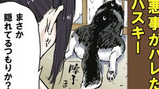 Épisode 49