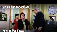 Épisode 33