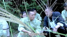 Épisode 8
