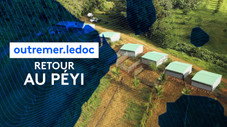 Retour au péyi