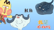 Épisode 216