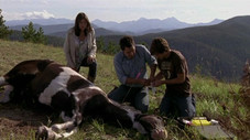 Broken Arrow