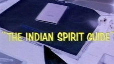 Le guide spirituel indien