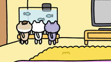 Épisode 10
