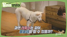 Épisode 4