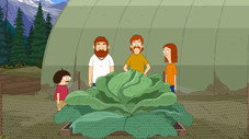 Excess Cabbage Adventure