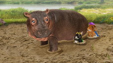 Sauvons le petit hérisson ! / Sauvons l'hippopotame !