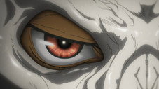 La naissance d'un loup