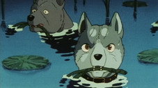 Épisode 13