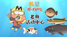 Épisode 719