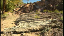 L'oasis, une escale dans le désert