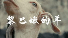 Épisode 7