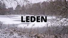 Épisode 131