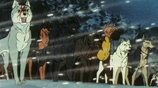 Épisode 21