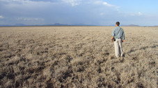 Le Kenya (la savane africaine)