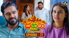 Épisode 77