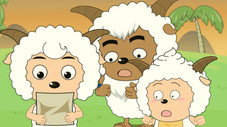 Épisode 343