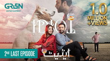 Épisode 26