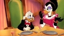 Des histoires de canard