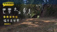 Épisode 44