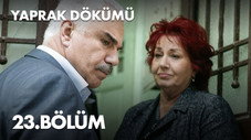 Épisode 23