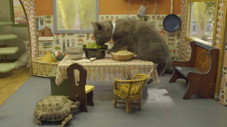 Épisode 9