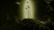 La Vierge de Guadalupe