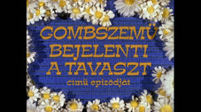 Épisode 6