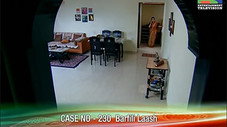 Épisode 230