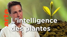 Les plantes sont-elles des animaux comme les autres ?