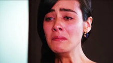 Épisode 37