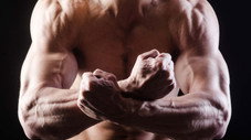 Avons-nous besoin de l'homme alpha ?