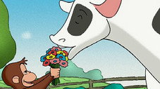 Épisode 47