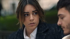 Épisode 1334