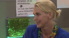 Épisode 13