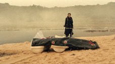 The Raft