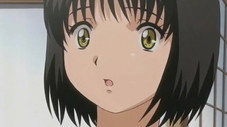 Épisode 7