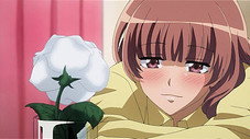 L'amour de Sakura pour le rock