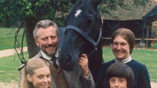 Les Voleurs de Chevaux