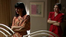 Épisode 204