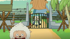 Épisode 250
