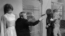 The Secret Sceptre Affair