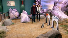 Épisode 11